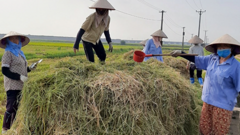 Thúc đẩy kinh tế nông nghiệp xanh