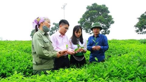Nguồn vốn ủy thác sang Ngân hàng Chính sách xã hội đã vượt kế hoạch cả năm
