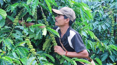 Những dấu chân mở đường - Bài 1: Khép lại cánh cửa nghèo khó