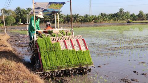 Phát huy vai trò của khoa học công nghệ trong phát triển nông nghiệp, nông thôn 