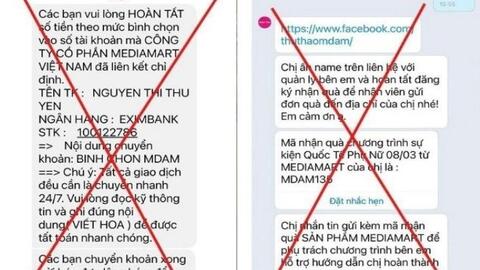 Giả mạo các sàn thương mại điện tử, siêu thị điện máy để lừa đảo chiếm đoạt tài sản