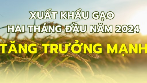 Xuất khẩu gạo hai tháng đầu năm 2024 tăng trưởng mạnh