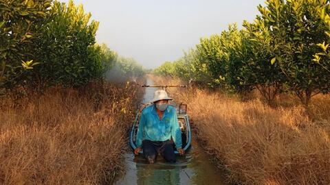 Đồng bằng sông Cửu Long kịp thời ứng phó với hạn, mặn