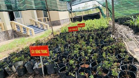 Thư về tòa soạn: “Vườn ươm thanh niên”