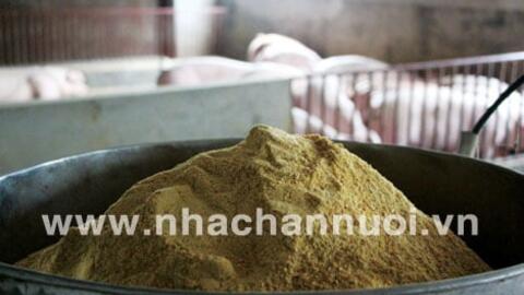 Giá thức ăn chăn nuôi đồng loạt giảm