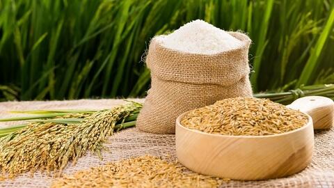 Giá lúa gạo hôm nay (4-6): Giá gạo tiếp tục tăng 100-150 đồng/kg