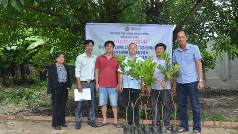 Tân Châu: Bàn giao cây giống thực hiện mô hình trồng thâm canh chôm chôm 