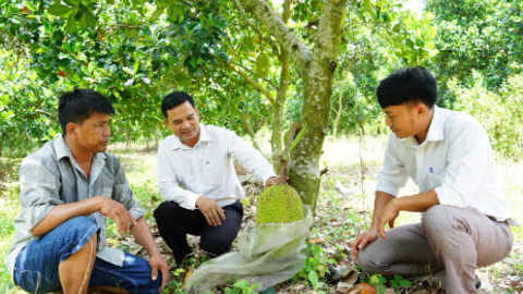 Bài 2: Tháo gỡ những khó khăn 