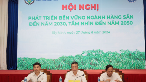 Phát triển bền vững ngành hàng khoai mì đến năm 2030, tầm nhìn đến năm 2050 