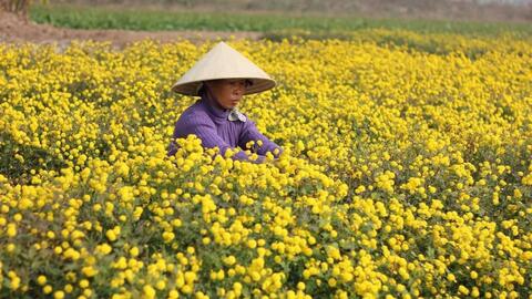 Sản xuất dựa vào tự nhiên: Thuận thiên sẽ thuận lợi
