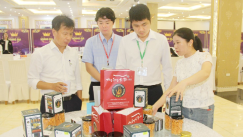 Công nghệ sinh học - công cụ phát triển nông nghiệp bền vững
