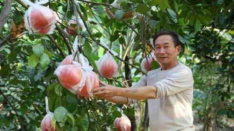 Nhân rộng giống cây, con đặc sản để nâng tầm nông sản Thủ đô