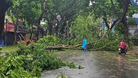 TP Hồ Chí Minh cử lực lượng hỗ trợ khắc phục hậu quả bão Yagi