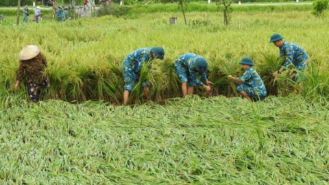 Bài 3: Sau bão lũ, ngành Nông nghiệp cần "liều thuốc đặc biệt"