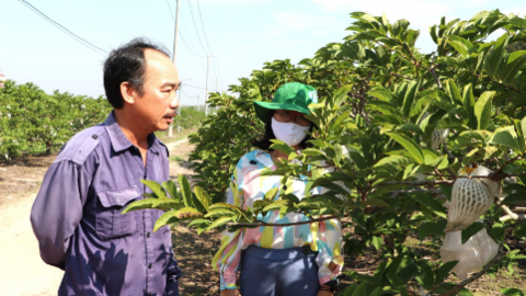 Nhiều kiến nghị gỡ khó trong tiếp cận chính sách khuyến nông 