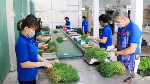 Hiệu quả hoạt động của các hợp tác xã nông nghiệp ngày càng nâng cao