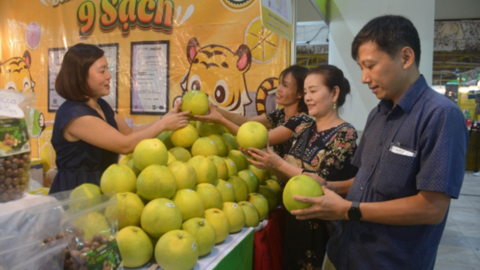Cần có tư duy mới trong kinh tế nông nghiệp
