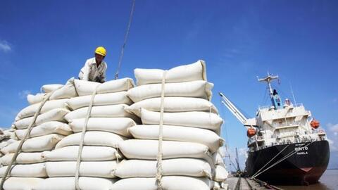 100.000 tấn gạo trắng Việt Nam sắp xuất sang Bangladesh