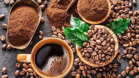 Bản tin nông sản hôm nay (25-3): Giá cà phê, hồ tiêu ở mức cao