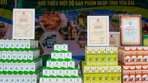Yên Bái số hóa 100% sản phẩm OCOP