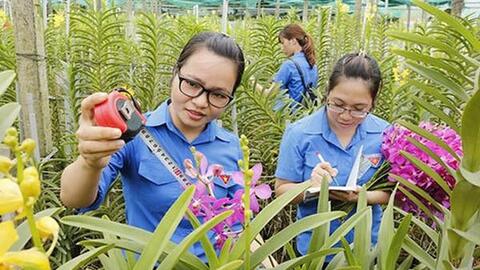 Phấn đấu hỗ trợ ít nhất 35.000 doanh nghiệp do thanh niên làm chủ