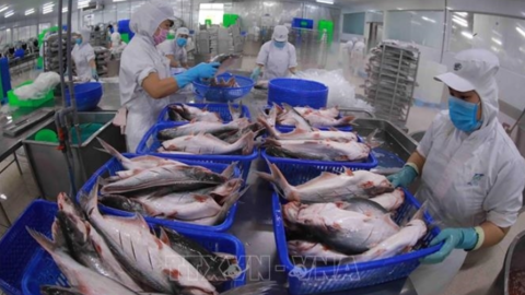 Thủy sản Việt Nam phấn đấu kim ngạch xuất khẩu 14-16 tỷ USD vào năm 2030