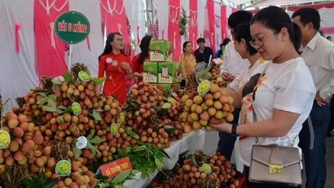 Kết nối giao thương ở Lễ hội trái cây và rau củ Việt Nam tại Singapore 2025