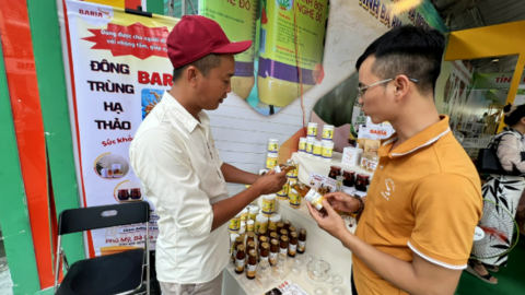 Nông nghiệp thành phố gắn với hội nhập ASEAN