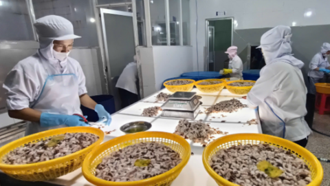 Đa dạng hóa thị trường, nâng tầm thương hiệu Việt