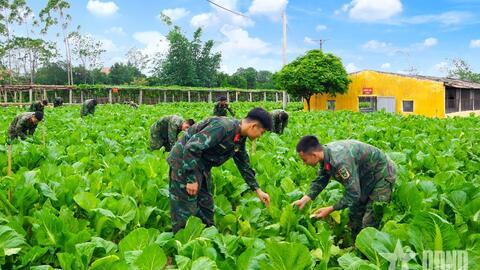Càng thấm hơn ý nghĩa của công tác tăng gia sản xuất