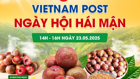 Sàn thương mại điện tử góp phần gỡ ‘nút thắt’ nông sản miền núi