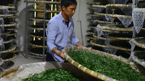 Nỗi lo của “thủ phủ” dâu tằm