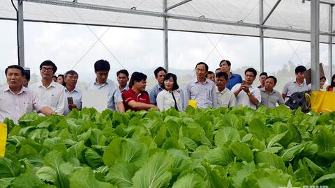 Giảm phát thải trong trồng trọt để bảo vệ môi trường, xây dựng nền sản xuất xanh