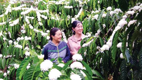“Nam châm” hút đầu tư chế biến nông sản