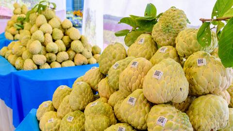 Hỗ trợ doanh nghiệp phát triển và ứng dụng công nghệ dịch vụ, sản phẩm 