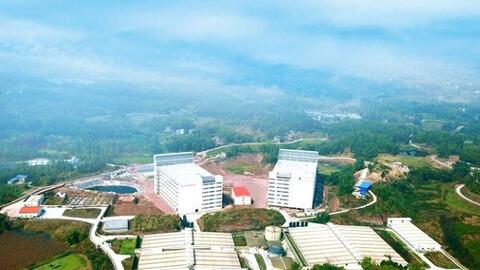 Trại lợn cao tầng: Ngành công nghiệp sản xuất thịt lợn của Trung Quốc ảnh hưởng  đến nông dân Mỹ