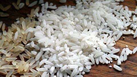 Sản xuất đồ uống chay lợi khuẩn dựa vào nguồn protein từ gạo và đậu