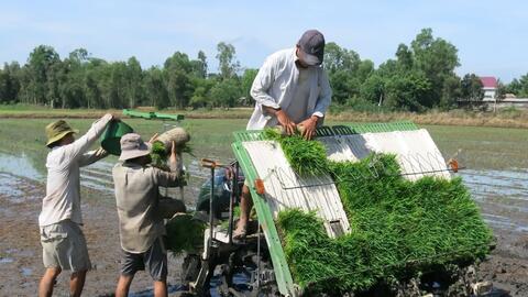 Chuẩn bị tốt các điều kiện cho sản xuất vụ Mùa 2021 