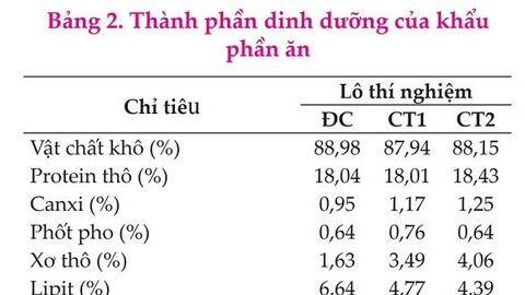 Khả năng sinh trưởng và năng suất thịt của gà nuôi bằng khẩu phần thức ăn tự trộn