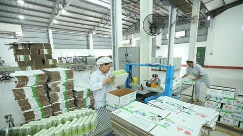 Hội Chăn nuôi Việt Nam kiến nghị Thủ tướng Chính phủ một số giải pháp phát triển chăn nuôi bền vững