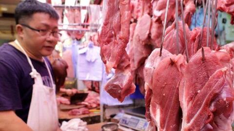 Giá heo hơi hôm nay giảm nhẹ trên diện rộng