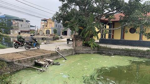 Có được tự ý xả chất thải chăn nuôi xuống ao làng?