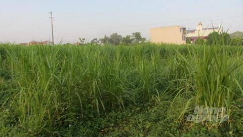 Chuyển trại lợn sang nuôi bò 3B