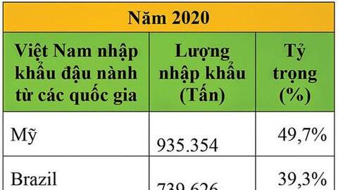 Giá đậu nành tùy thuộc tình hình sản xuất tại Brazil?