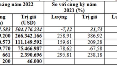 Nhập khẩu ngô 2 tháng đầu năm 2022 tăng mạnh về kim ngạch và giá
