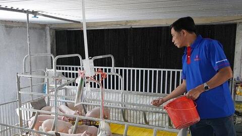 Thức ăn công nghiệp: Lựa chọn tối ưu của nhà chăn nuôi hiện đại