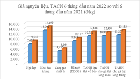 Vì sao giá nguyên liệu thức ăn chăn nuôi tăng cao nửa đầu năm?