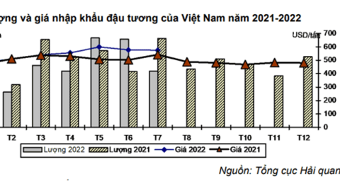 Nhập khẩu khô đậu tương Việt Nam đạt 2,8 triệu tấn