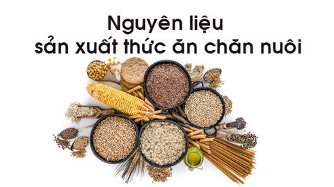 Giải pháp kỹ thuật cho tình trạng khan hiếm nguyên liệu sản xuất thức ăn chăn nuôi