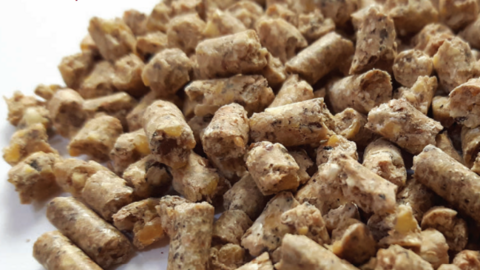 Nhập khẩu thức ăn gia súc và nguyên liệu 10 tháng năm 2022 đạt gần 4,51 tỷ USD